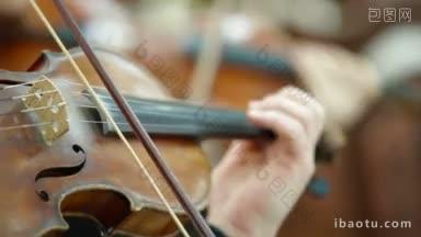 在音乐会上或招待会上演奏小提琴和大提琴